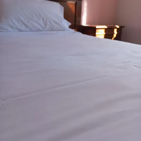 فندق Regina Pollino